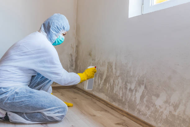 Licensed Mold Remediation service in Georgetown, TX - WQB Mold Removal