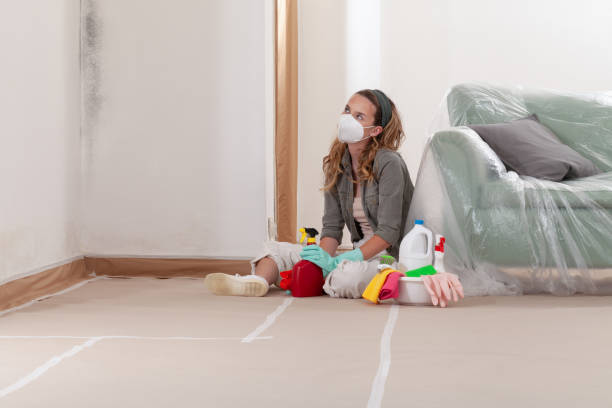 Reliable Mold Remediation contractor in Georgetown, TX by WQB Mold Removal